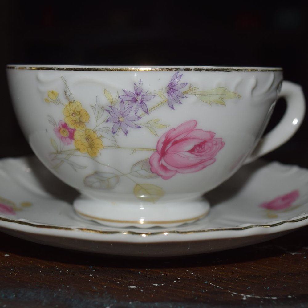 Vienna Woods cup and saucer